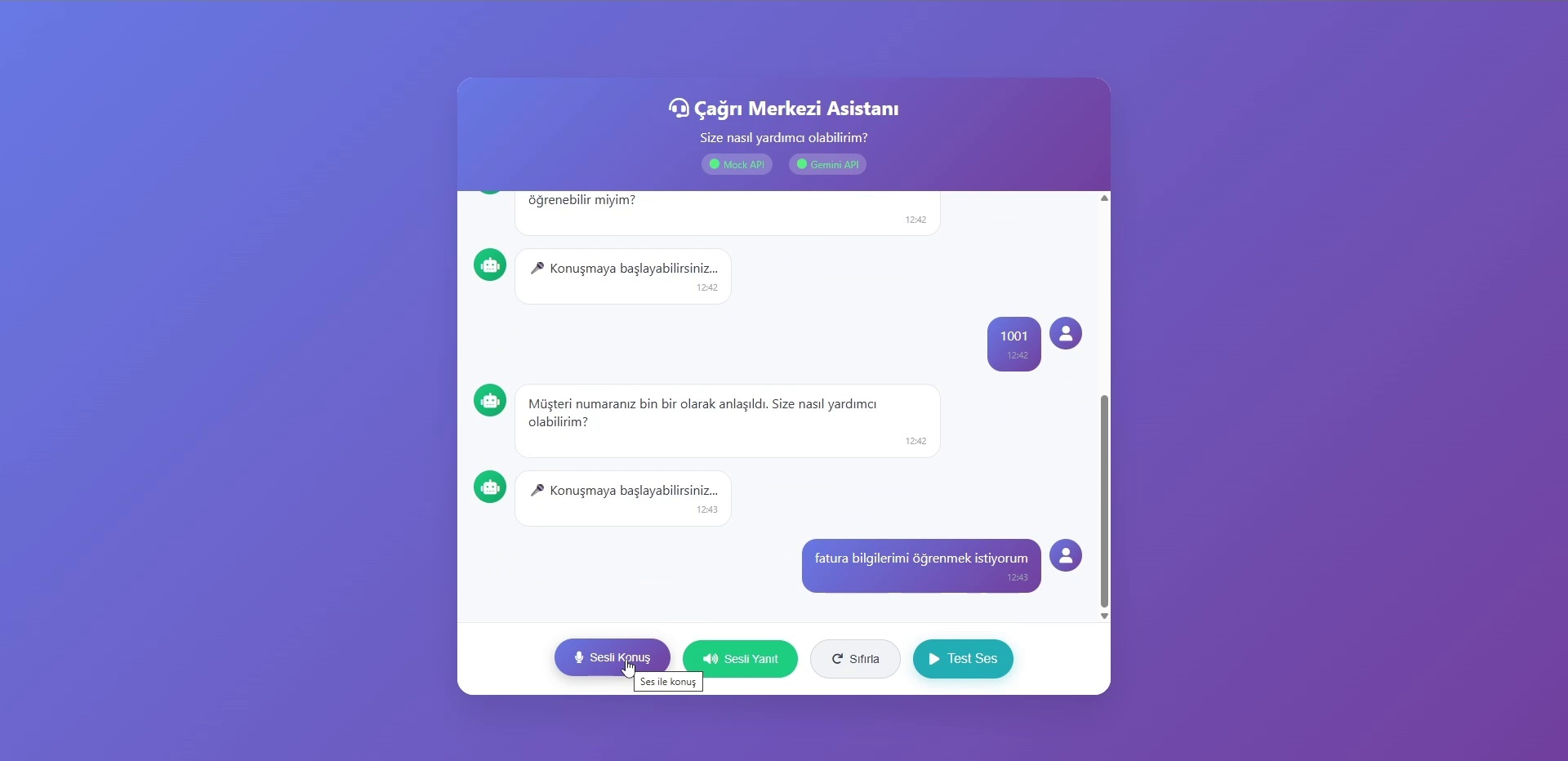 Teknofest Otonom Asistan